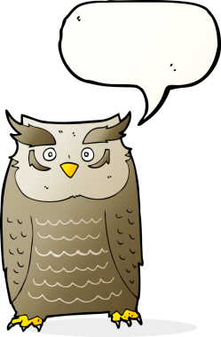 bir insan tarafından çizilmiş konuşma baloncuklu bir baykuş.