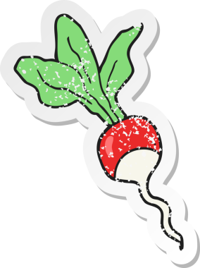 Bir insan tarafından çizilmiş karikatür turpunun gerilimli yapıştırması.