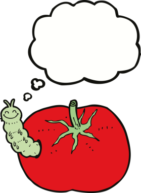 Bir insan tarafından çizilmiş düşünce baloncuklu bir domates.