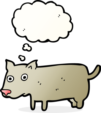 Bir insan tarafından çizilmiş düşünce balonu olan küçük bir köpek.