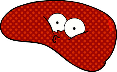 Bir insan tarafından çizilmiş karaciğer.