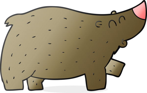 Bir insan tarafından çizilmiş serbest çizim çizgi film ayısı.