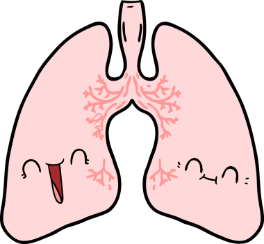 Bir insan tarafından çizilmiş karikatür ciğerleri.
