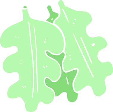 Bir insan tarafından çizilmiş meşe yapraklarının düz renk çizimi