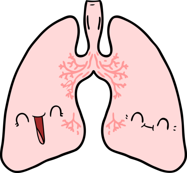 Bir insan tarafından çizilmiş karikatür ciğerleri.
