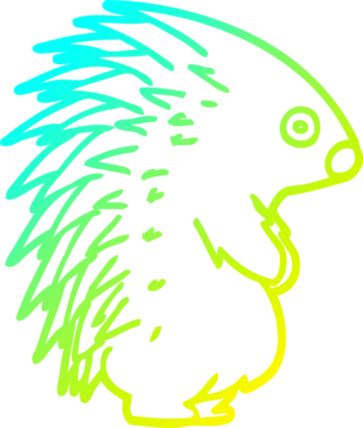 Bir insan tarafından çizilen sivri uçlu kirpinin soğuk gradyan çizimi.