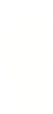 Bir insan tarafından çizilmiş Üzüm Tebeşiri