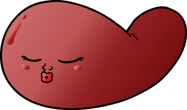 bir insan tarafından çizilmiş safra kesesi.