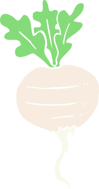 Bir insan tarafından çizilmiş şalgamın düz renk çizimi