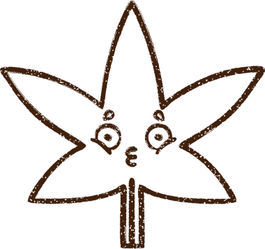 Bir insan tarafından çizilmiş Kenevir Yaprağı Kömür Çizimi