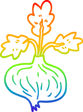 Bir insan tarafından çizilmiş eski bir soğanın çizgi çizimi.