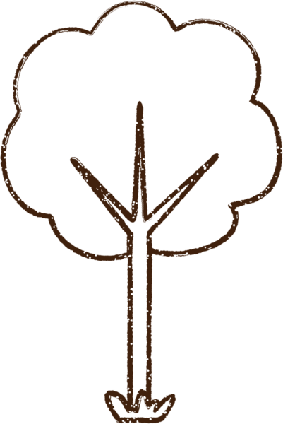 Bir insan tarafından çizilen ağaç kömürü