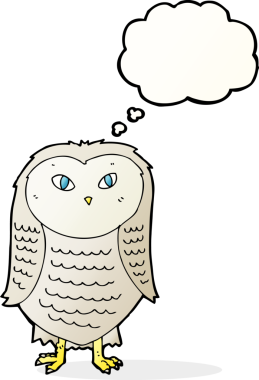 Bir insan tarafından çizilmiş düşünce baloncuklu çizgi film baykuşu