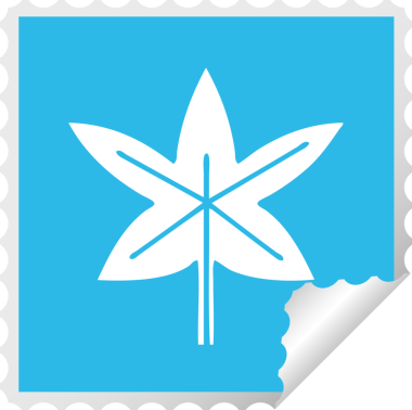 Bir insan tarafından çizilmiş bir sonbahar yaprağının kabuk soyma karikatürü