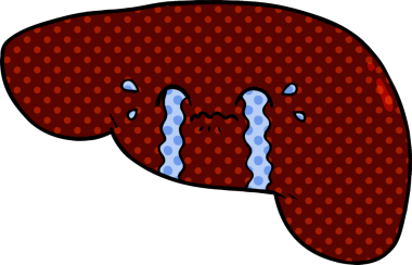 Bir insan tarafından çizilmiş karaciğer.