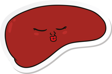 Bir insan tarafından çizilmiş karaciğerin çıkartması.