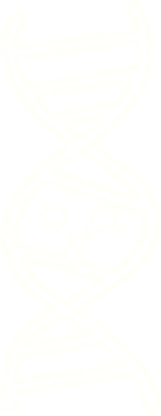 Bir insan tarafından çizilen DNA Tebeşiri