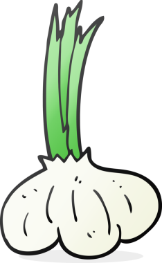 Bir insan tarafından çizilmiş sarımsak karikatürü.