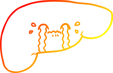 Bir insan tarafından çizilmiş karaciğerin sıcak gradyan çizimi