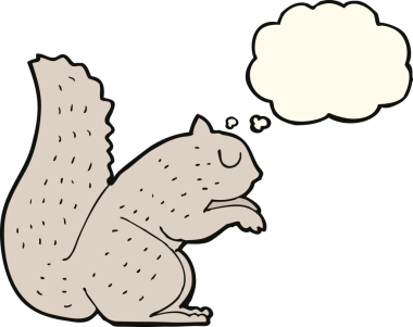 Bir insan tarafından çizilmiş düşünce baloncuklu bir sincap.