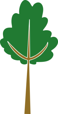 Bir insan tarafından çizilmiş tuhaf bir çizgi film ağacı.