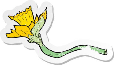 Bir insan tarafından çizilmiş nergis çiçeğinin gerilmiş depresif çıkartması.