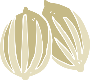 bir insan tarafından çizilen tohumların düz renk çizimi