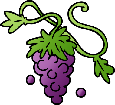 Bir insan tarafından asmaya çizilen üzümlerin el çizimi karikatürü.