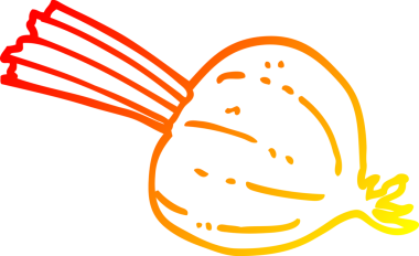 Bir insan tarafından çizilmiş taze pancarın sıcak çizgi çizimi