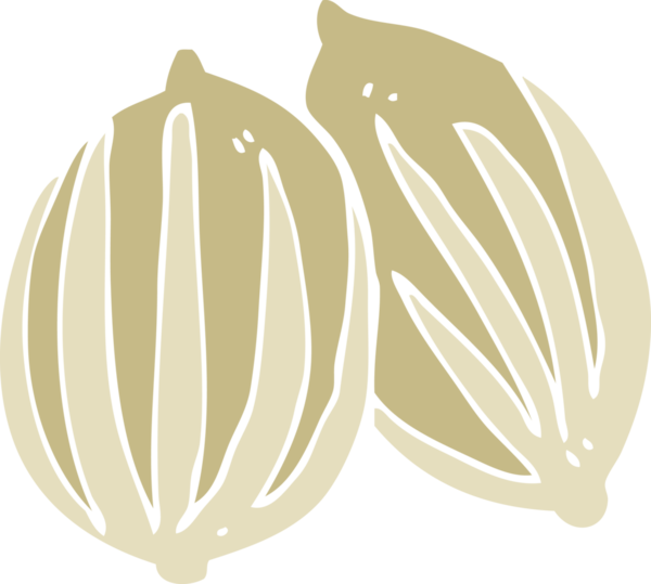bir insan tarafından çizilen tohumların düz renk çizimi