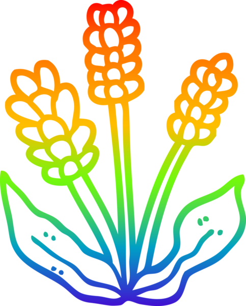 gökkuşağı gradyan çizgi çizimi bir insan tarafından çizilmiş lavanta çizgi