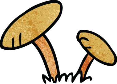 Bir insan tarafından çizilmiş mantarların el desenli karikatürleri.