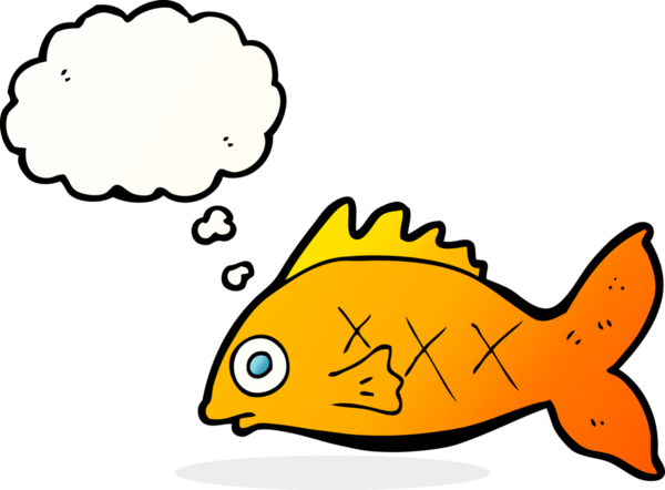 Bir insan tarafından çizilmiş düşünce baloncuklu çizgi film balığı.