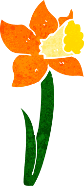 bir insan tarafından çizilmiş nergis.