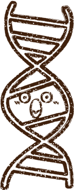 Bir insan tarafından çizilen DNA Strand Kömürü Çizimi