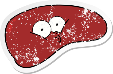 Bir insan tarafından çizilmiş karaciğerin sıkıntılı çıkartması.