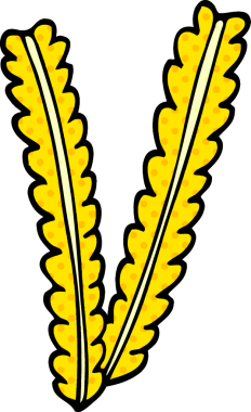 bir insan tarafından çizilmiş buğday karalamaları.