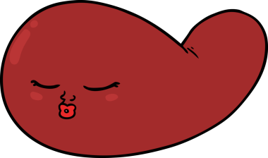 bir insan tarafından çizilmiş safra kesesi.