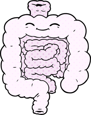 Bir insan tarafından çizilmiş karikatür bağırsakları.