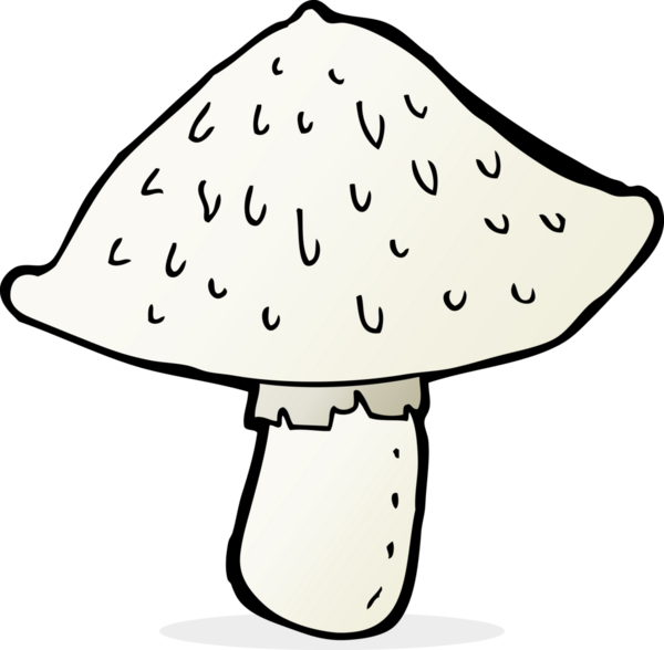 Bir insan tarafından çizilmiş vahşi mantarlar.