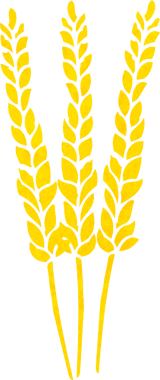 bir insan tarafından çizilmiş mısırlar