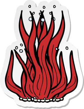 Bir insan tarafından çizilmiş bir deniz yosununun çıkartması.