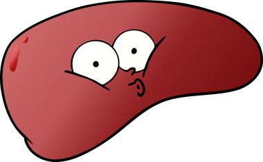 Bir insan tarafından çizilmiş karaciğer.