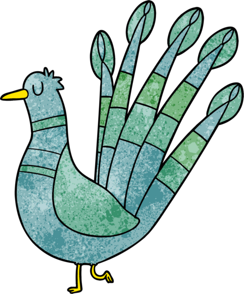 bir insan tarafından çizilmiş bir tavus kuşu.