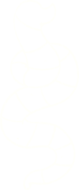 Bir insan tarafından çizilen Yılan Tebeşiri