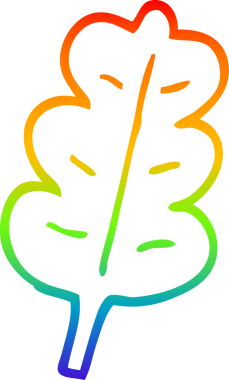 Bir insan tarafından çizilmiş bir meşe yaprağının çizimi.