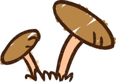 Bir insan tarafından çizilmiş mantar tebeşiri.