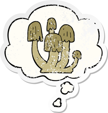 Düşünce baloncuklu mantarlar insan tarafından çizilmiş yıpranmış bir çıkartma.