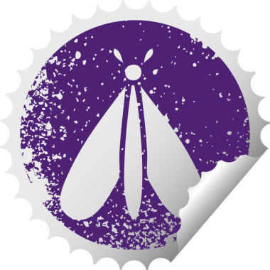 Bir insan tarafından çizilmiş güve böceğinin derisi soyulmuş etiketi.