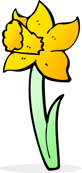 bir insan tarafından çizilmiş nergis.